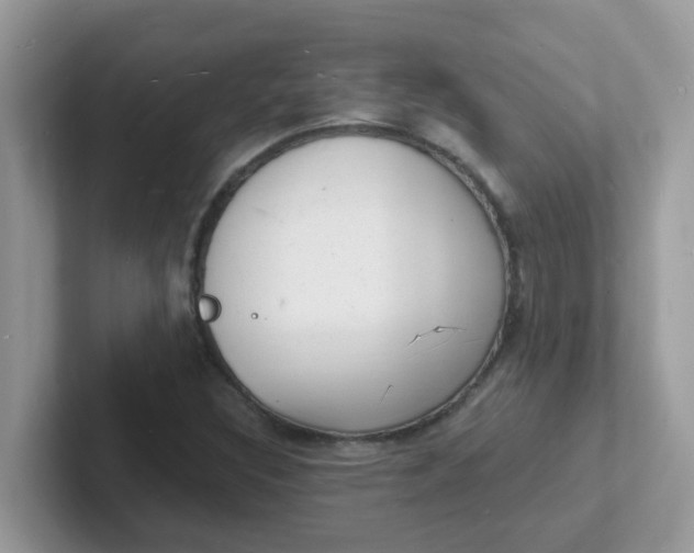 X0000101481308200807281031