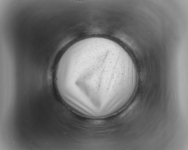 X0000101481309200807281031