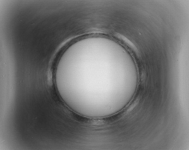 X0000101481310200807281031