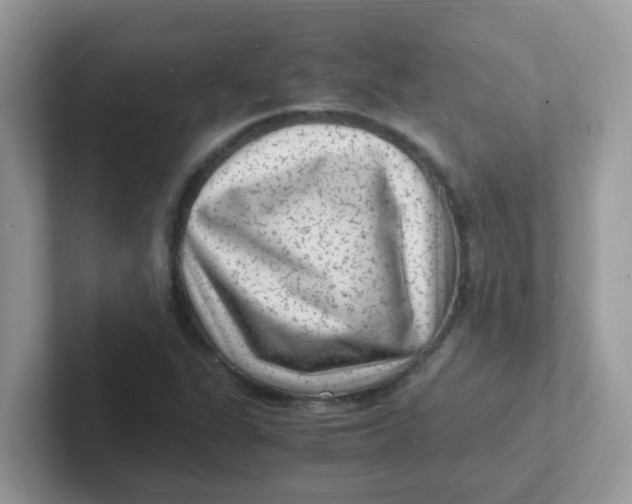 X0000101481311200807281031