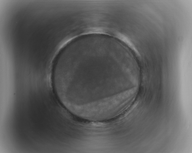 X0000101481312200807281031