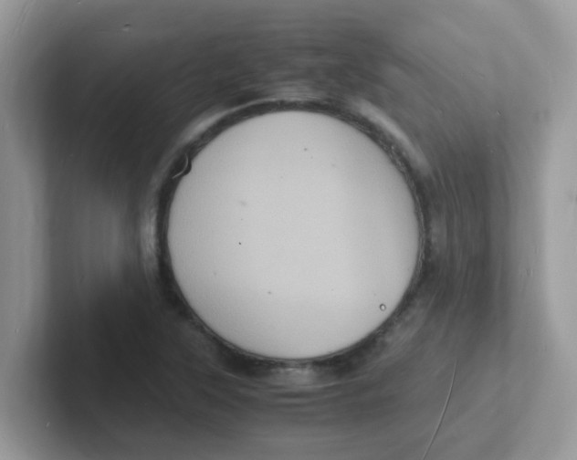 X0000101481315200807281031