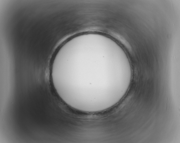 X0000101481316200807281031