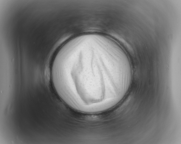 X0000101481317200807281031