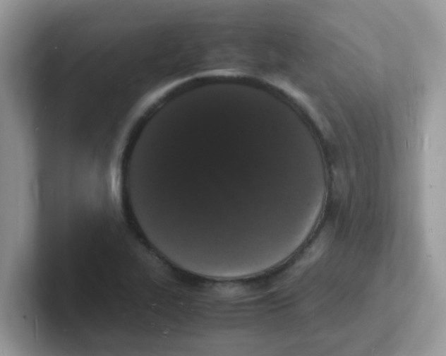 X0000101481319200807281031