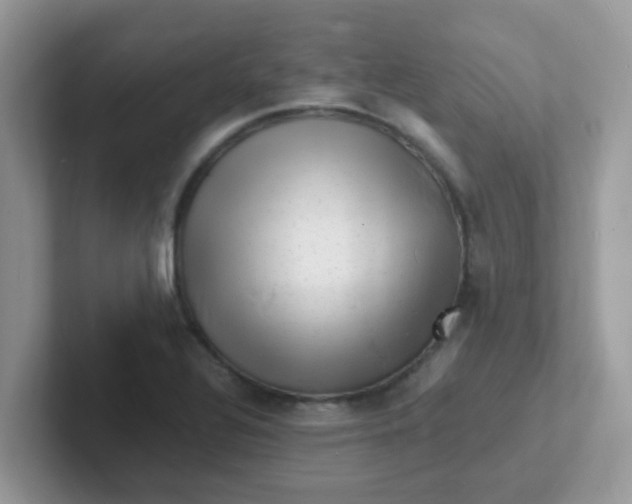 X0000101481320200807281031