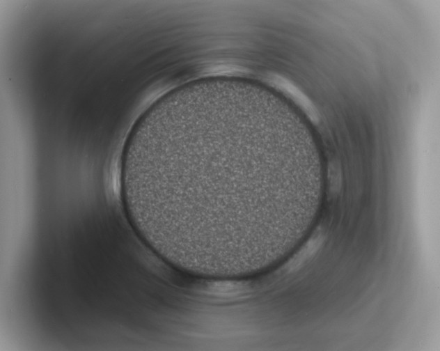 X0000101481322200807281031