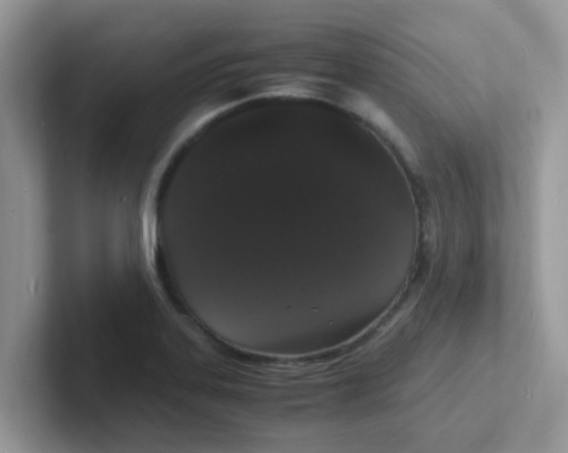 X0000101481323200807281031