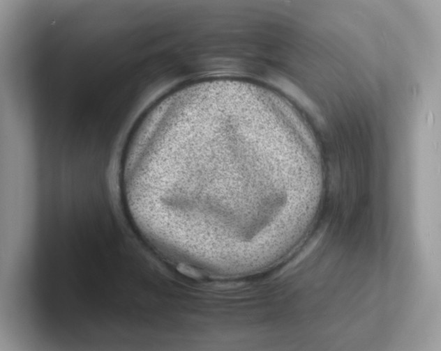 X0000101481325200807281032