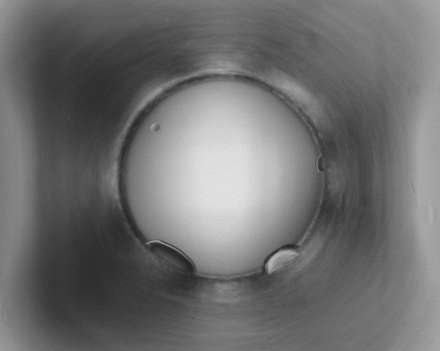 X0000101481326200807281032