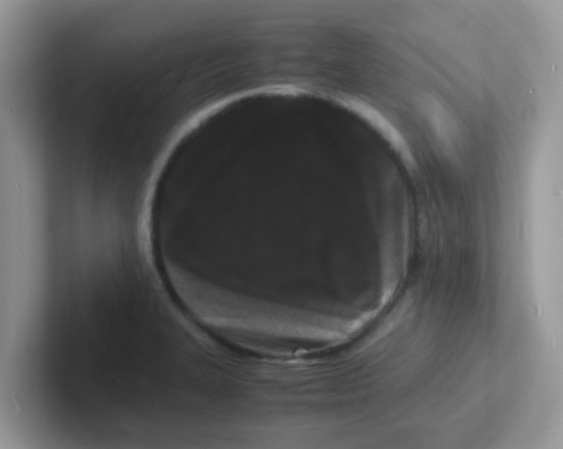 X0000101481327200807281032