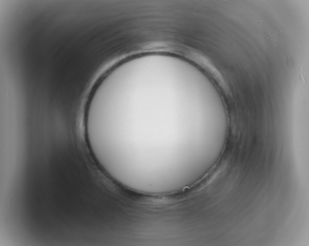 X0000101481328200807281032