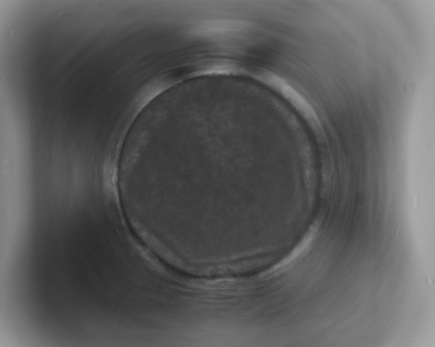 X0000101481329200807281032