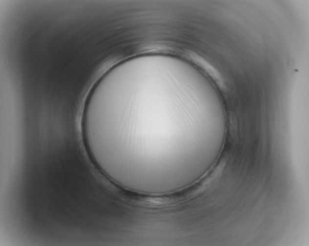 X0000101481330200807281032