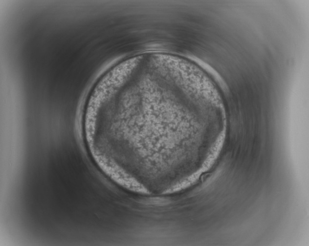 X0000101481333200807281032