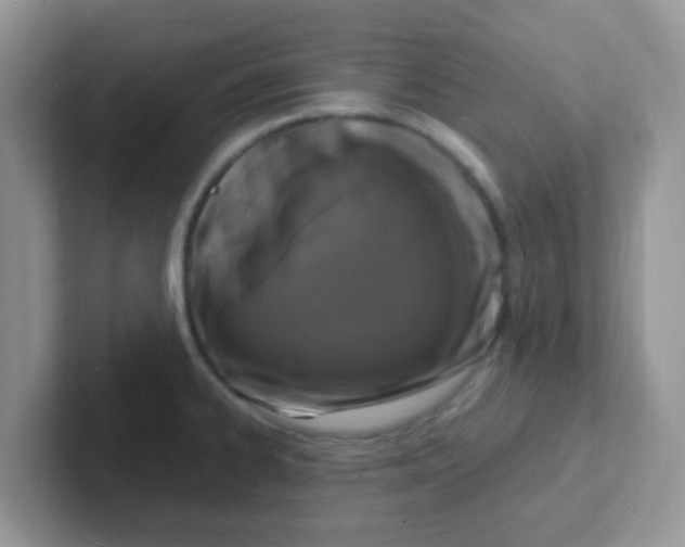 X0000101481334200807281032