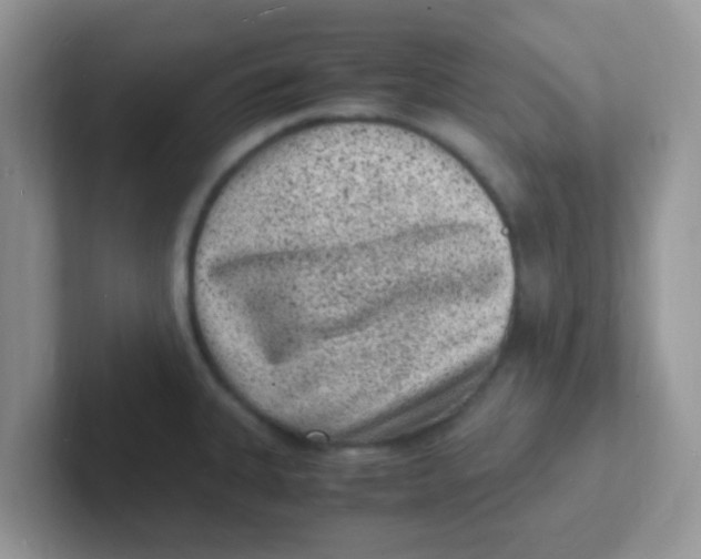 X0000101481335200807281032