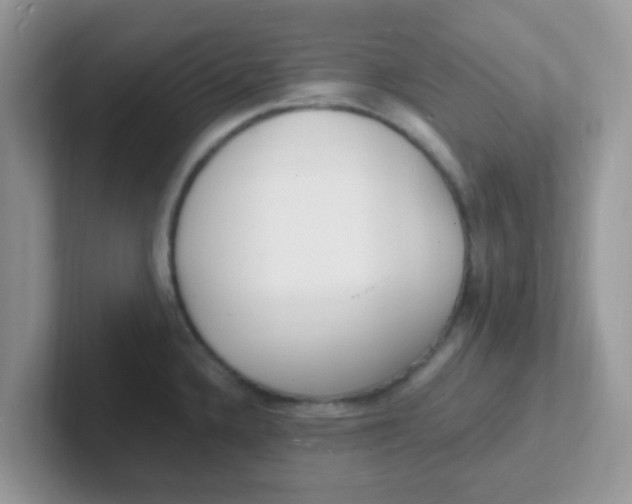 X0000101481336200807281032