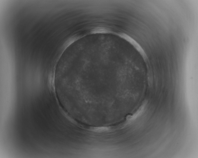 X0000101481337200807281032