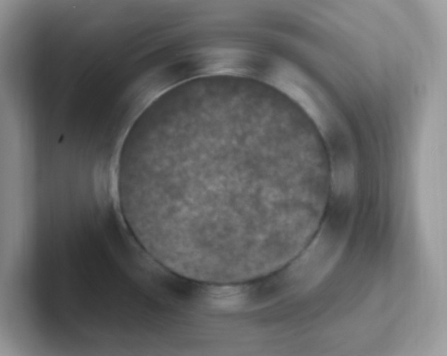 X0000101481338200807281032