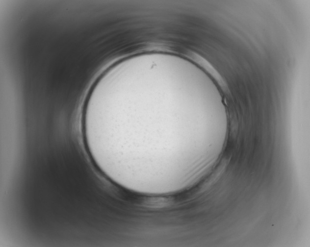 X0000101481339200807281032