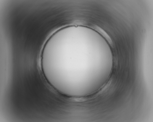 X0000101481340200807281032