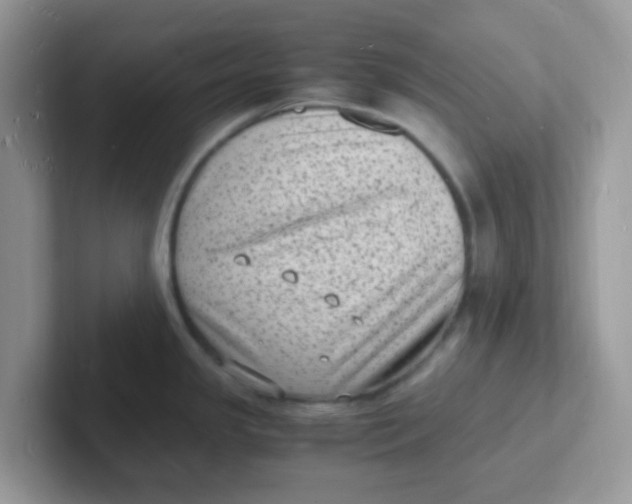 X0000101481341200807281032