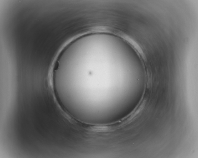 X0000101481342200807281032