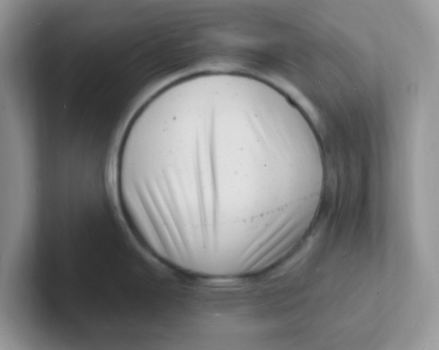 X0000101481343200807281032