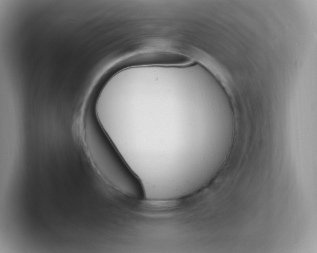 X0000101481344200807281032