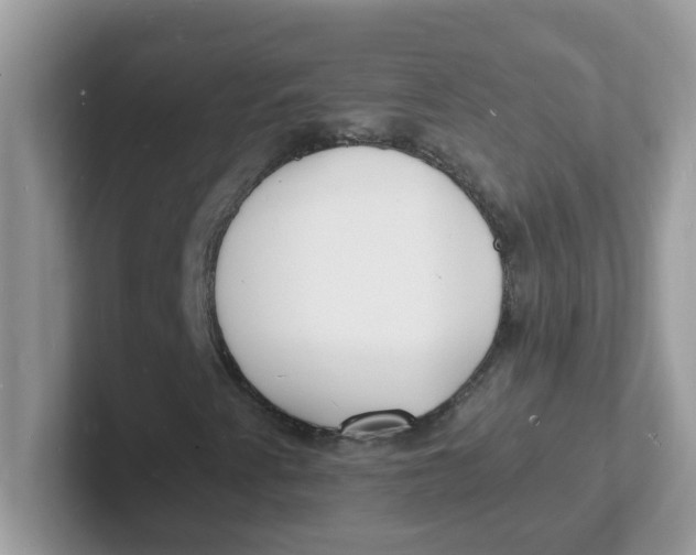 X0000101481345200807281031