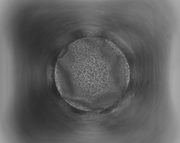 X0000101481346200807281031