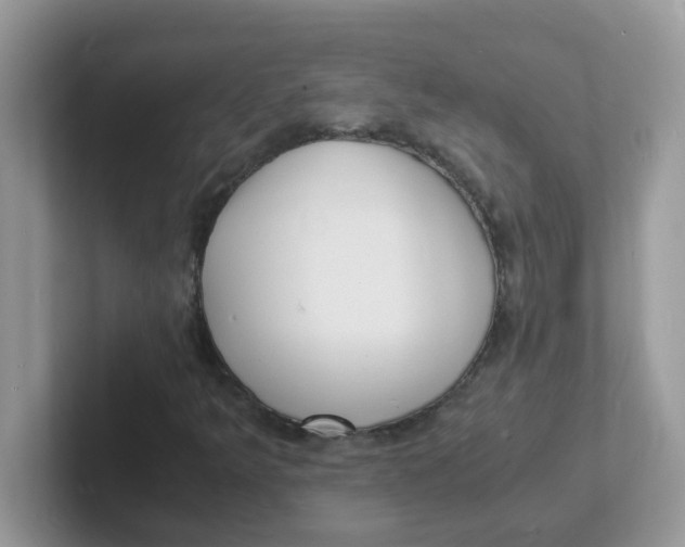 X0000101481349200807281031