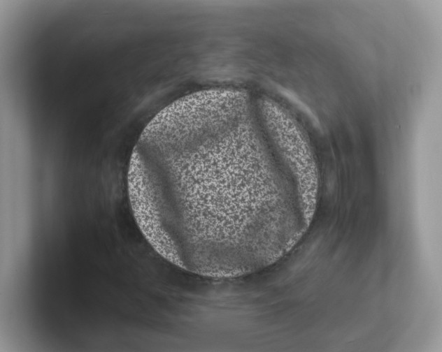 X0000101481350200807281031