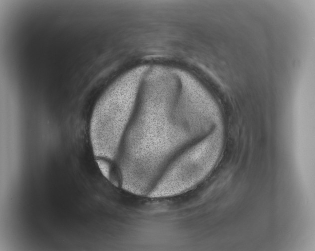 X0000101481351200807281031