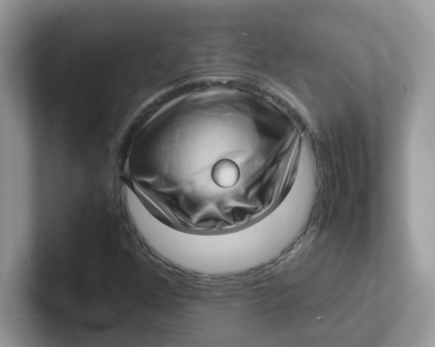 X0000101481352200807281031