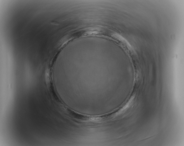 X0000101481353200807281031