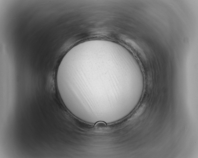 X0000101481354200807281031