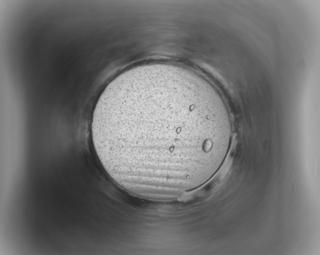 X0000101481355200807281031