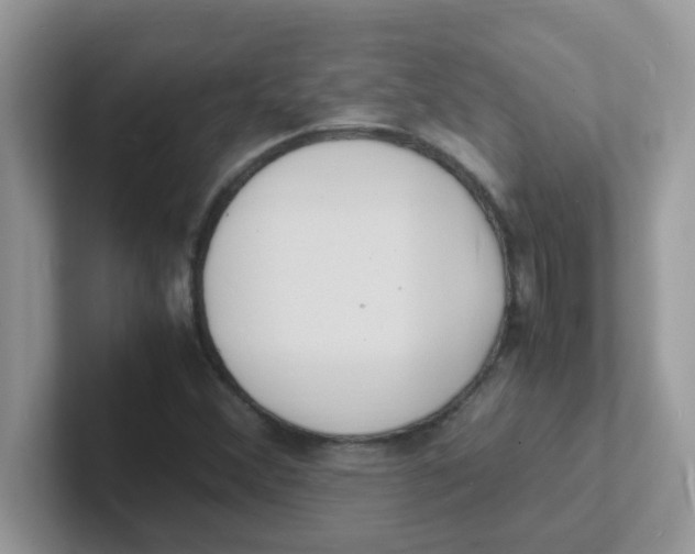 X0000101481356200807281031