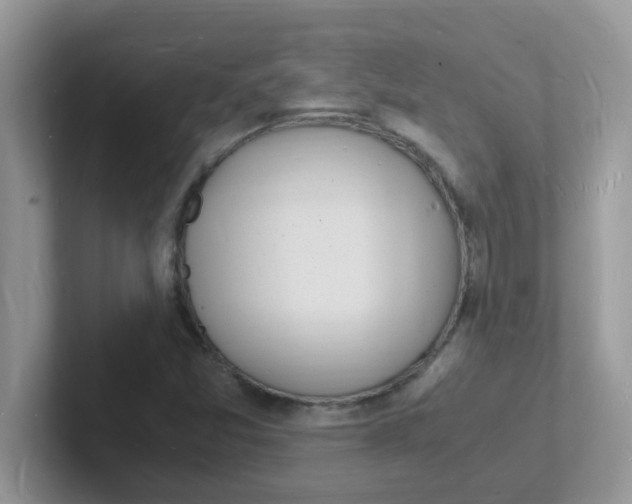 X0000101481357200807281031