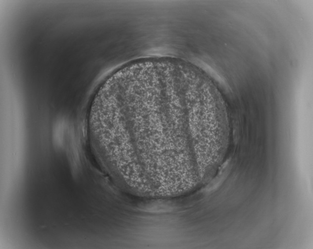 X0000101481358200807281031