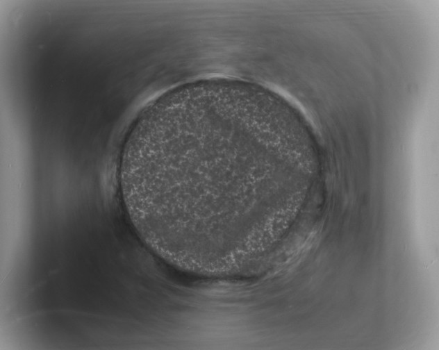 X0000101481359200807281031