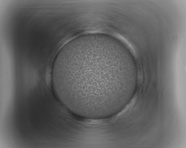 X0000101481361200807281031