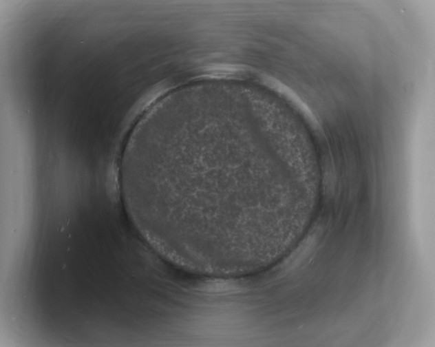 X0000101481362200807281031