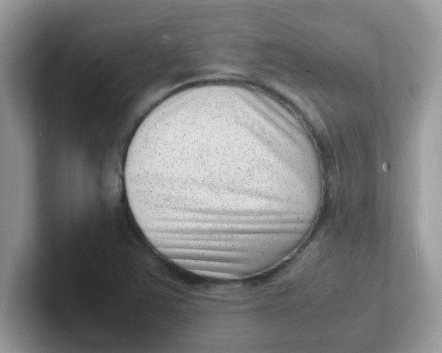 X0000101481363200807281031