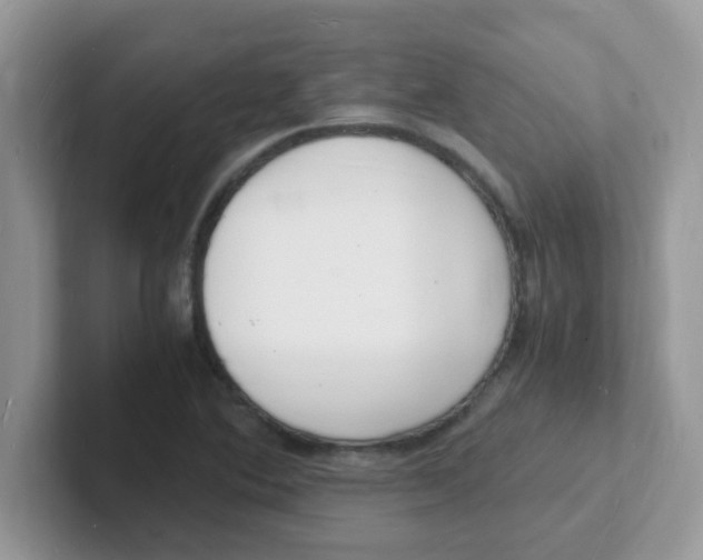 X0000101481364200807281031