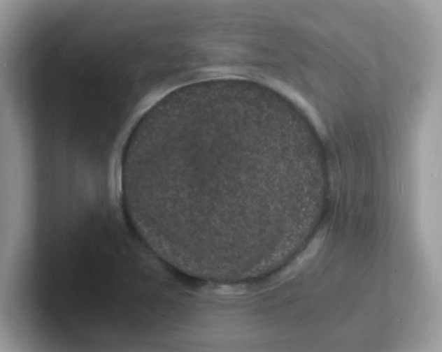 X0000101481365200807281031