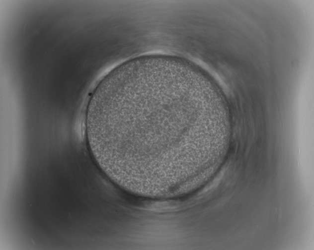 X0000101481367200807281031