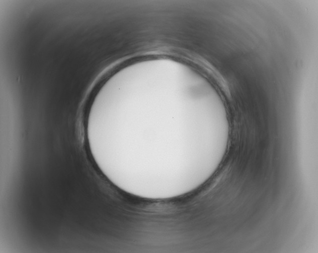 X0000101481368200807281031